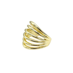 Big Cage Gold Ring